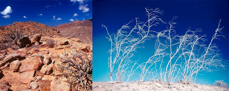 FD_Fuerte Landscape 900x361 q10